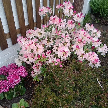 אוהל מפואר La Tiote Roulotte *